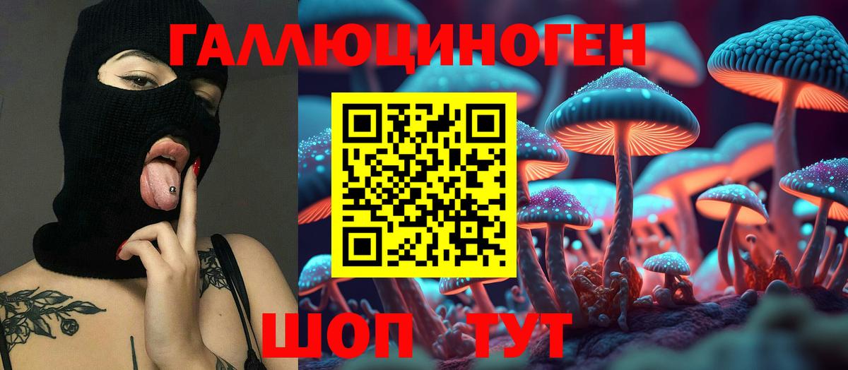 Псилоцибиновые грибы Psilocybe Новокубанск
